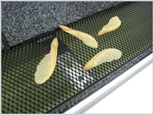 Gutter guard protecting from debris